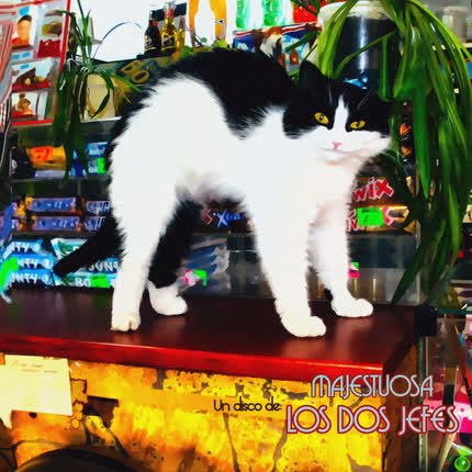 LOS DOS JEFES: Majestuosa