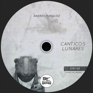 ANDRES MARQUEZ: Canticos Lunares