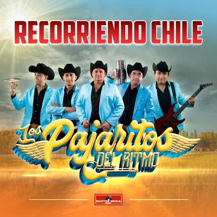 LOS PAJARITOS DEL RITMO: Recorriendo Chile