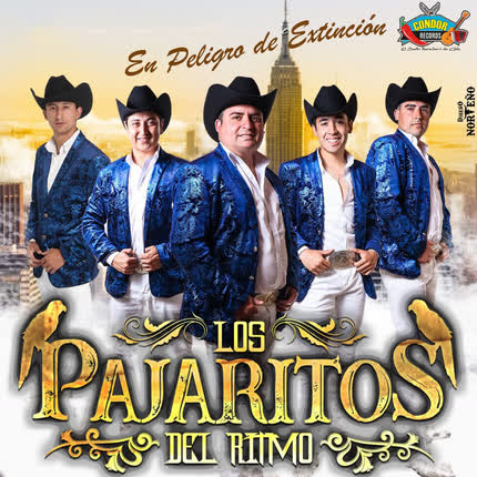 LOS PAJARITOS DEL RITMO: En Peligro de Extinción