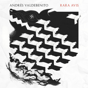ANDRES VALDEBENITO: Rara Avis