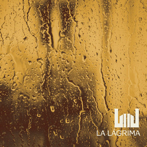 LOS DOS JEFES: La Lágrima