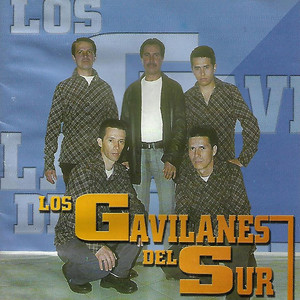 LOS GAVILANES DEL SUR: Los Gavilanes del Sur