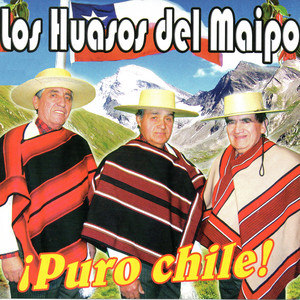 LOS HUASOS DEL MAIPO: ¡Puro Chile!