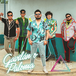 LOS MANES: Gavilan o Paloma