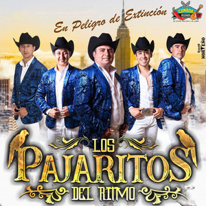 LOS PAJARITOS DEL RITMO: En Peligro de Extinción