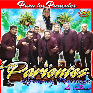 LOS PARIENTES DE JIMMY NAVARRO: Para los Parientes