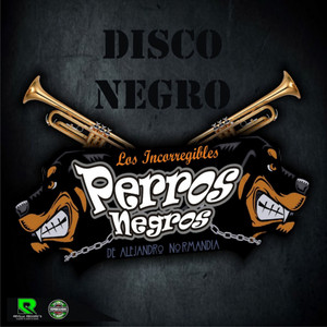 LOS PERROS NEGROS: Disco Negro