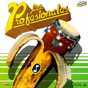 LOS PROFESIONALES: Los Profesionales Vol. 6