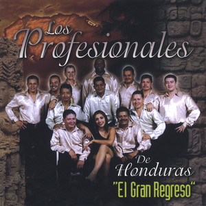 LOS PROFESIONALES: El Gran Regreso