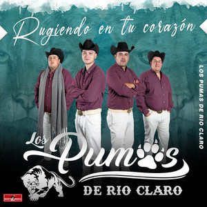 LOS PUMAS DE RIO CLARO: Rugiendo en tu Corazón