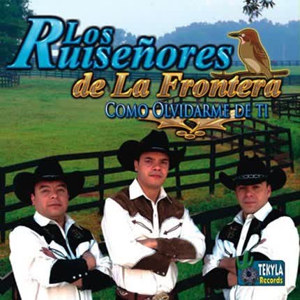 LOS RUISEÑORES DE LA FRONTERA: Como Olvidarme de ti