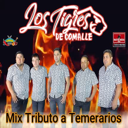 LOS TIGRES DE COMALLE: Mix Tributo a Temerarios: Dímelo / Creo Que Voy a Llorar / Ven Porque Te Necesito <br>/ Te Quiero » class=»wp -image-70815 size-full»/></figure><div class=