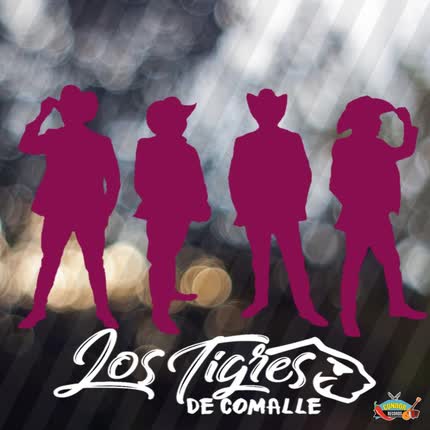 LOS TIGRES DE COMALLE: Ven y Baila