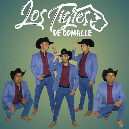 LOS TIGRES DE COMALLE: Los Caminos de la Vida