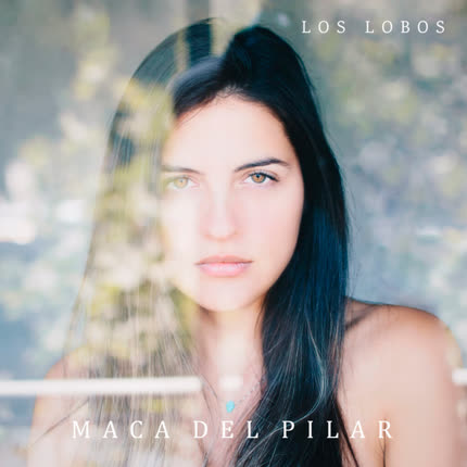 MACA DEL PILAR: Los Lobos