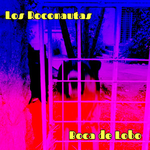 LOS ROCONAUTAS: Boca de Lobo
