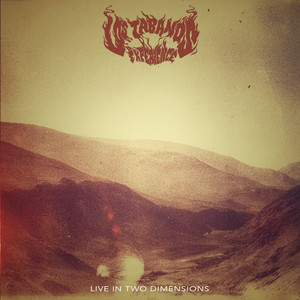 LOS TABANOS EXPERIENCE: Live in Two Dimensions