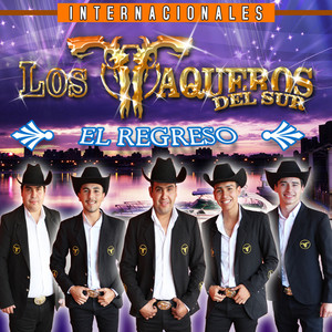 LOS VAQUEROS DEL SUR: El Regreso