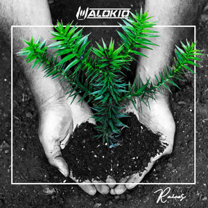 MALOKIO: Raíces