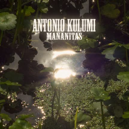 ANTONIO KULUMI: Mañanitas
