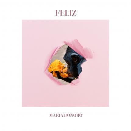 MARIA BONOBO: Feliz