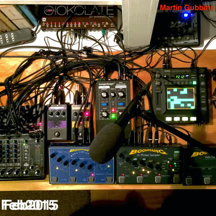 MARTIN GUBBINS: Feb 2015