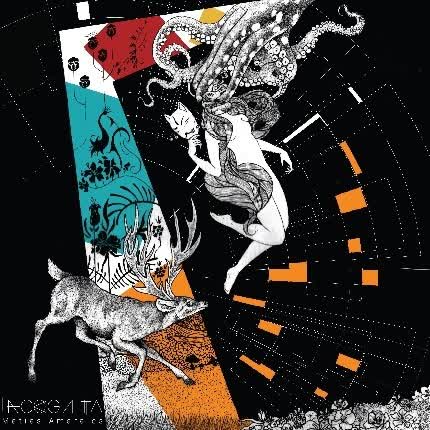 MATIAS AMARALES: Incógnita