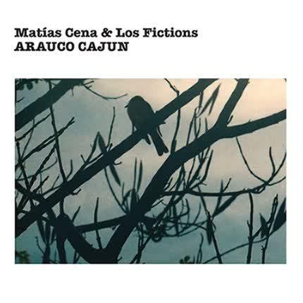 MATIAS CENA: Arauco Cajun