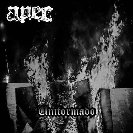 APEC: Uniformado