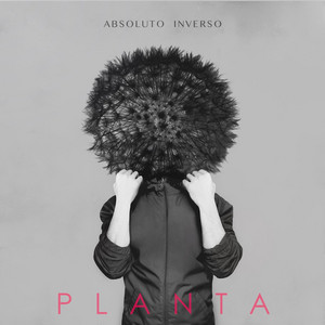 ABSOLUTO INVERSO: Planta