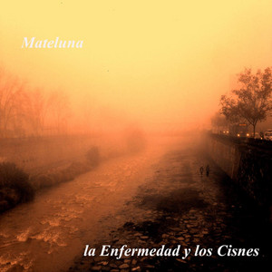 MATELUNA: La Enfermedad y los Cisnes
