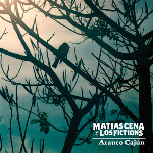 MATIAS CENA: Arauco Cajún