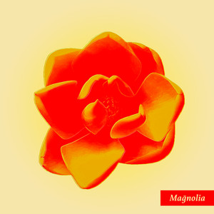 ANZESTRO: Magnolia