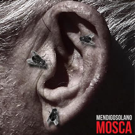 MENDIGO SOLANO: Mosca