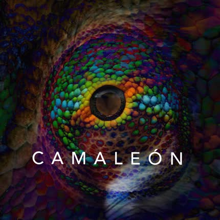 MISTER CANALLA: Camaleón