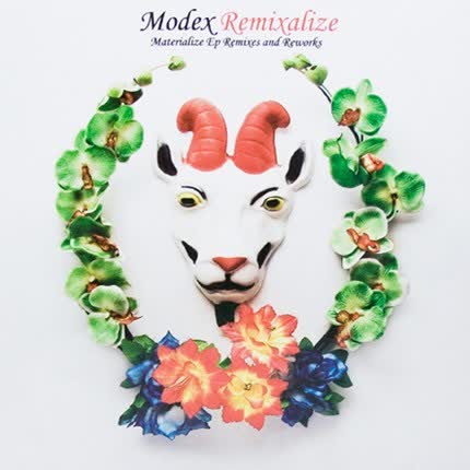 MODEX: Remixalize