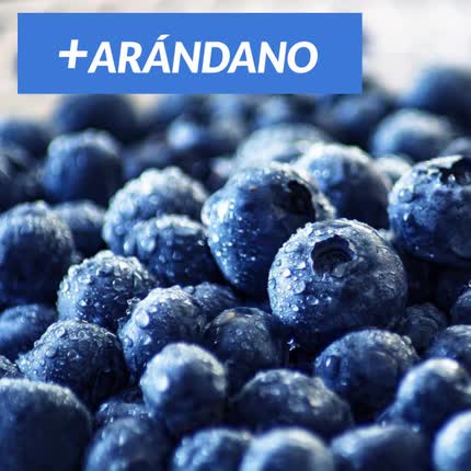 ARANDANO: Más Arándano