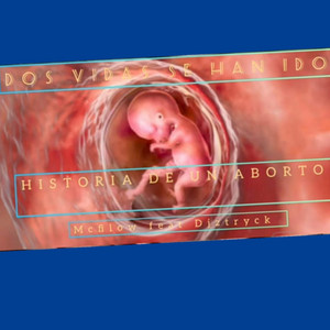 MCFILOW: DOS VIDAS SE HAN IDO (HISTORIA DE UN ABORTO)