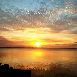 MELISSA SANCHEZ: biscuit