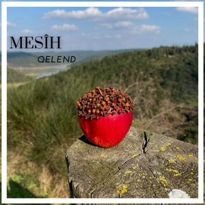MESIH: Qelend