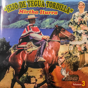 MIRTHA ITURRA: Hijo de Yegua Tordilla