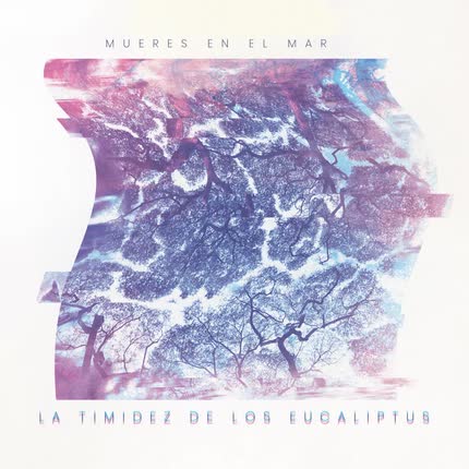 MUERES EN EL MAR: La Timidez de los Eucaliptus