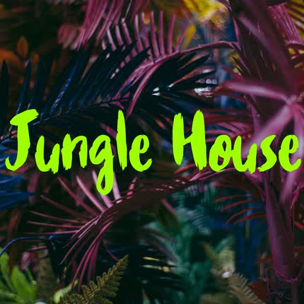 MVLDI BEATS: Jungle House