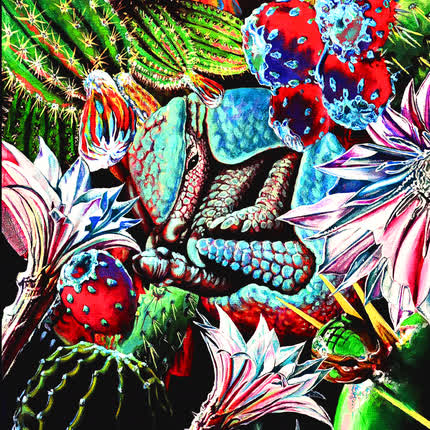 ARMADILLO CACTUS: Cactusrock