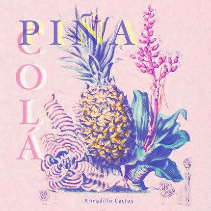 ARMADILLO CACTUS: Piña Colá