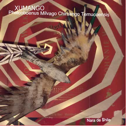 NARA DE SHILE: Xumango. Phalcoboenus <br>Milvago Chimango Temucoensis » class=»wp -image-68704 size-full»/></figure><div class=
