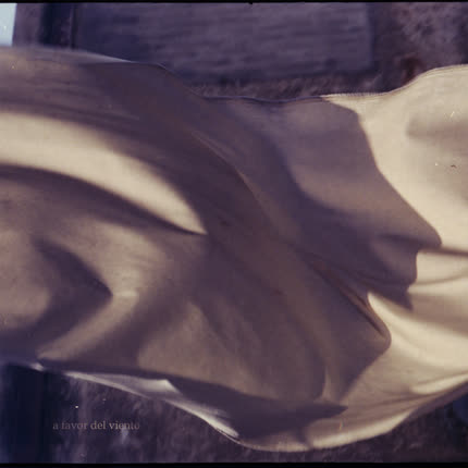 NICOLAS ALVARADO: A Favor del Viento