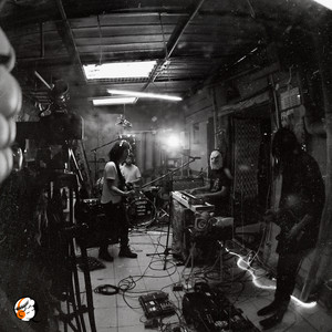 MR. PILZ: Sesiones Quirón: Mr Pilz