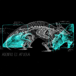 ARMADILLO CACTUS: Adentro es Afuera